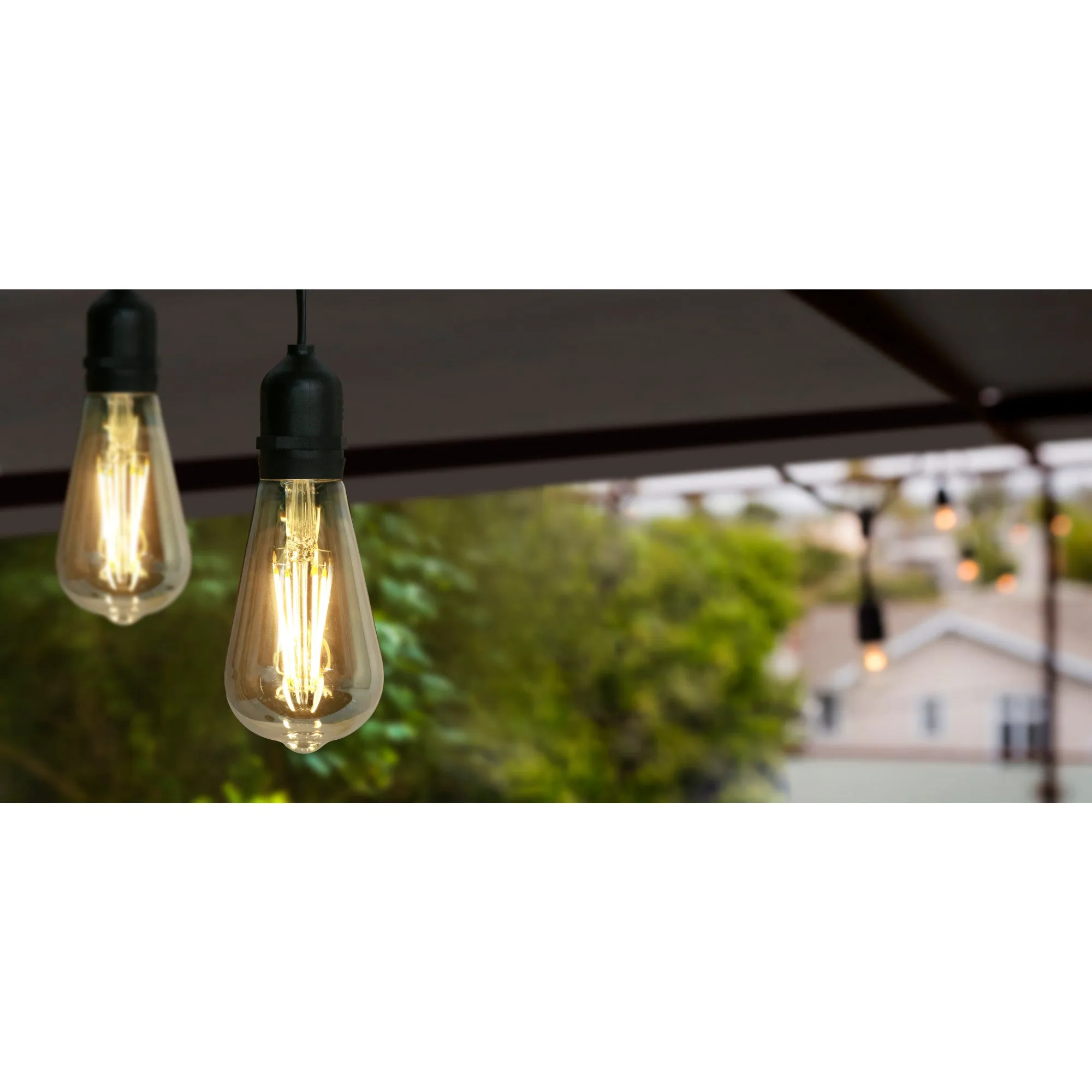 30 ft. LED String Lights with Filament ST19 bulbs