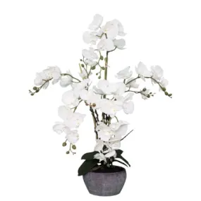 Large White Orchid 76cm