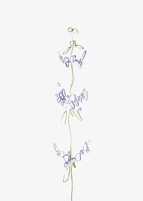 Minimal Wildflower Wall Art Print "Purple"