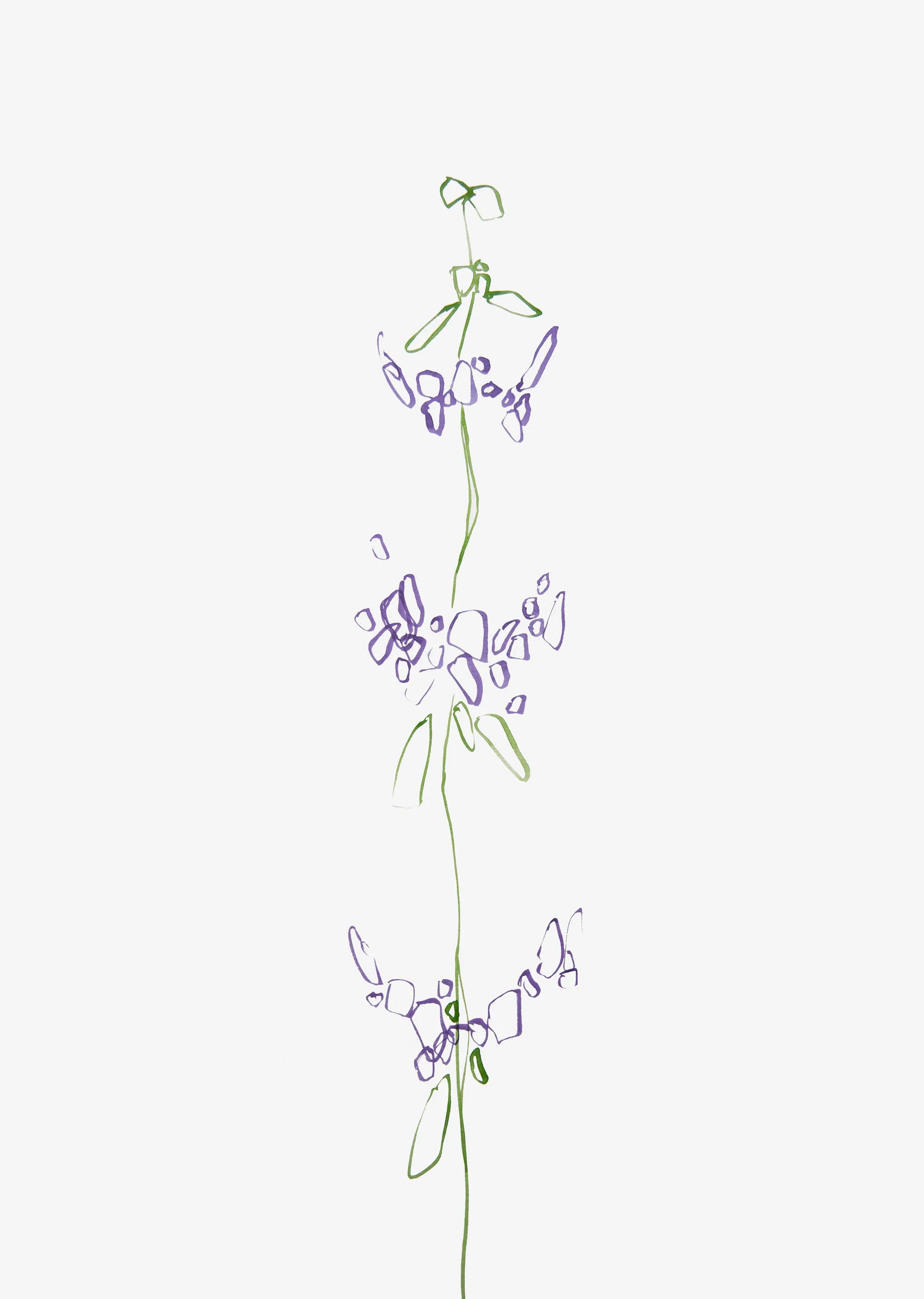 Minimal Wildflower Wall Art Print "Purple"