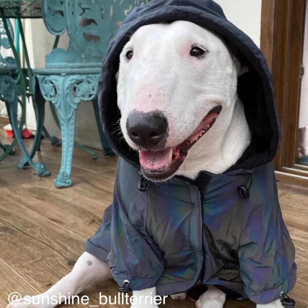 Reflective Dog Coat