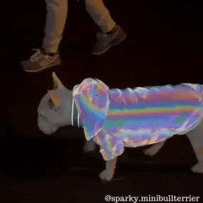 Reflective Dog Coat