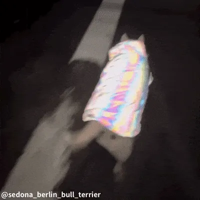 Reflective Dog Coat