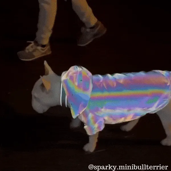 Reflective Dog Coat