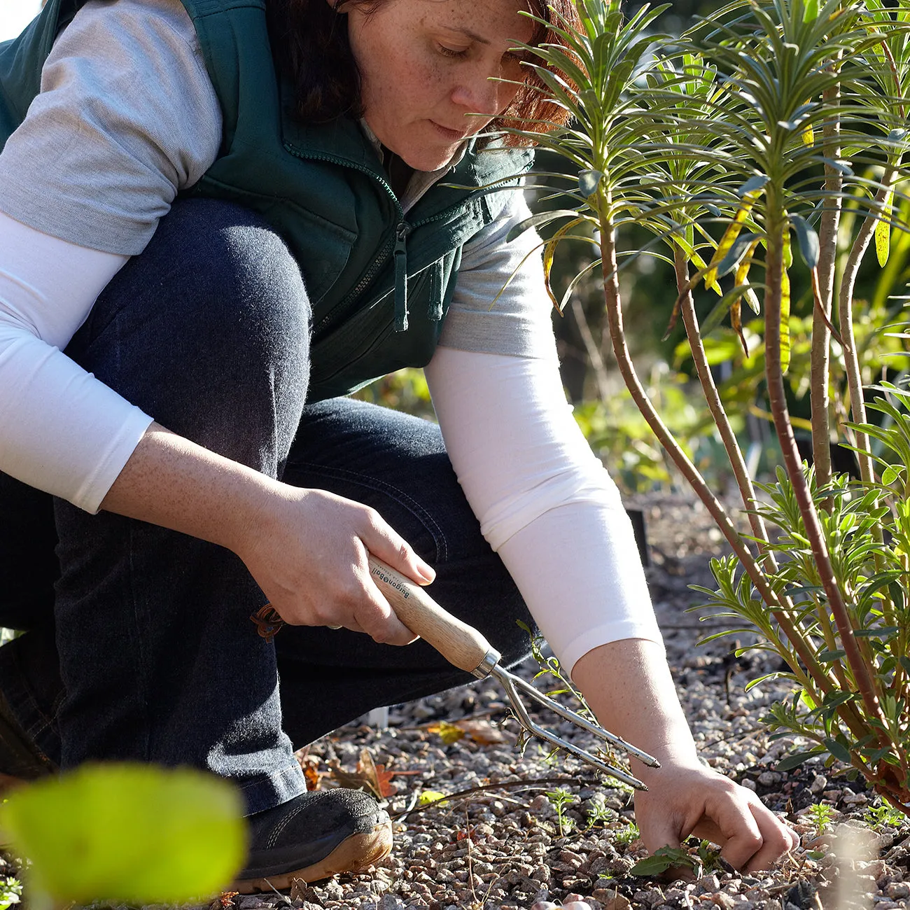 Weeding Fork - RHS Endorsed